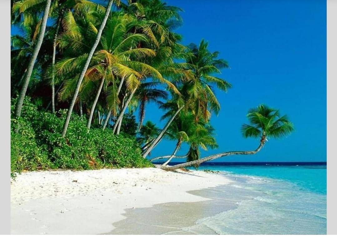 Airbnb At Sri Sayang Batu Ferringhi Beach ภายนอก รูปภาพ